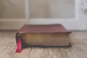 carolyn-v-AL48TflF4E8-unsplash